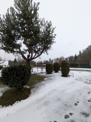 Umístění infopanelu a sochy rytíře Jana z Michalovic na rozcestí pod hradem Michalovice