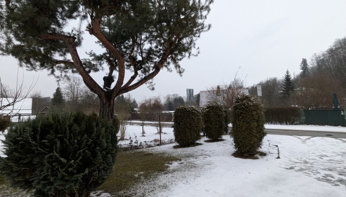 Umístění infopanelu a sochy rytíře Jana z Michalovic na rozcestí pod hradem Michalovice