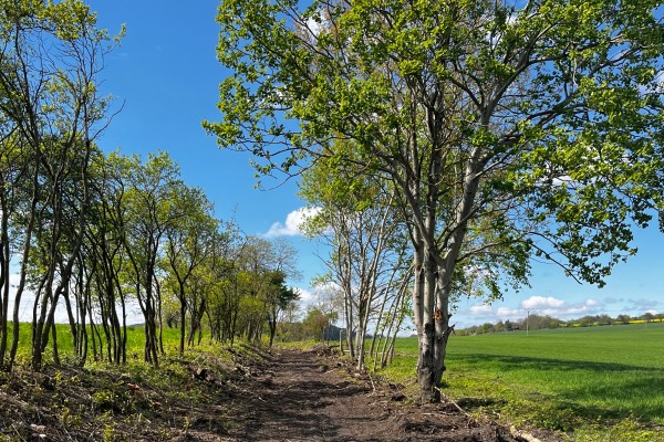 Cyklostezka Dobrovice - Ledce vzniká v místě bývalé železniční dráhy a bude dlouhá přibližně šest kilometrů.