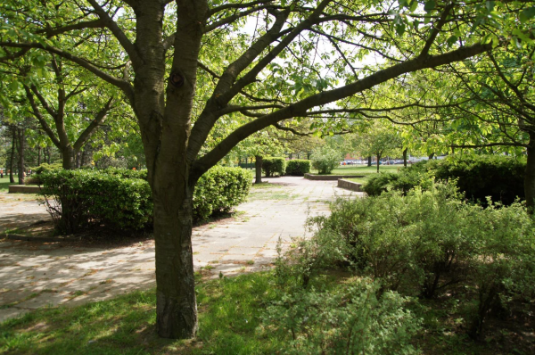 Cíl a vize adaptační strategie