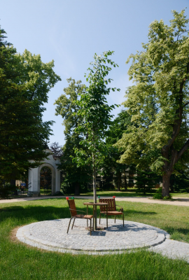 Co s sebou přináší změna klimatu?